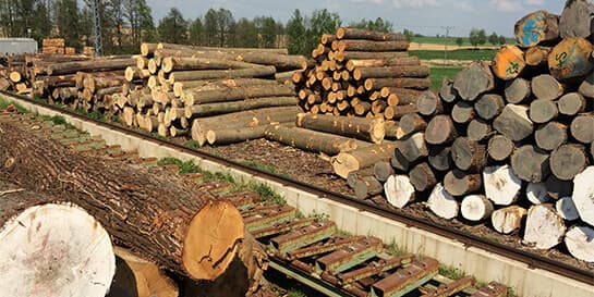 Holz kaufen im HOLZ-BARAN GmbH Sägewerk